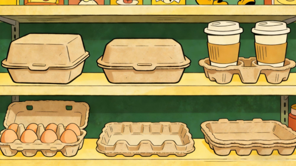 【科普】纸浆模塑到底行不行？